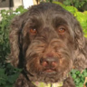 Meet your Posher, Robyn